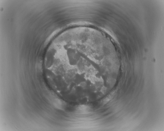 X0000070340111200607072023