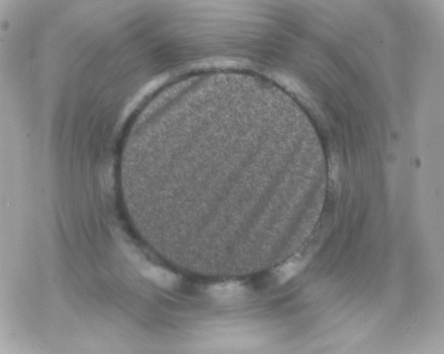 X0000070340112200607072023