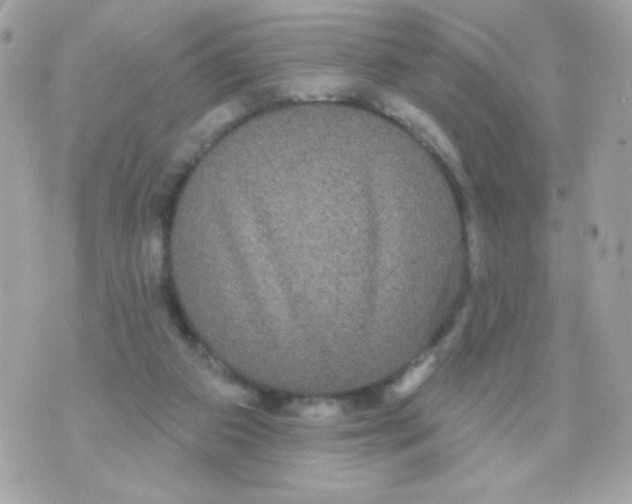 X0000070340113200607072023