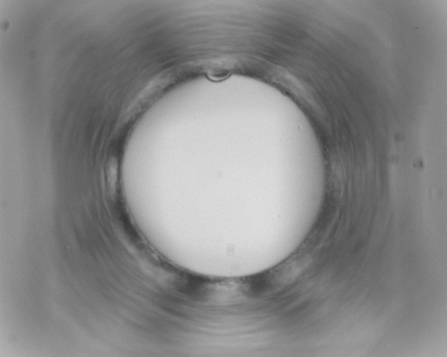 X0000070340118200607072023