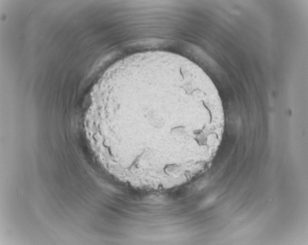 X0000070340119200607072023