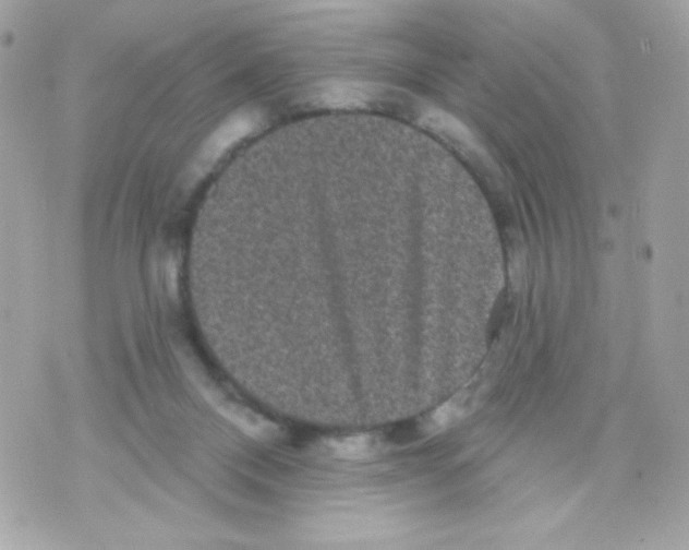 X0000070340120200607072023