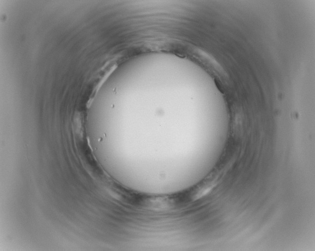 X0000070340121200607072023