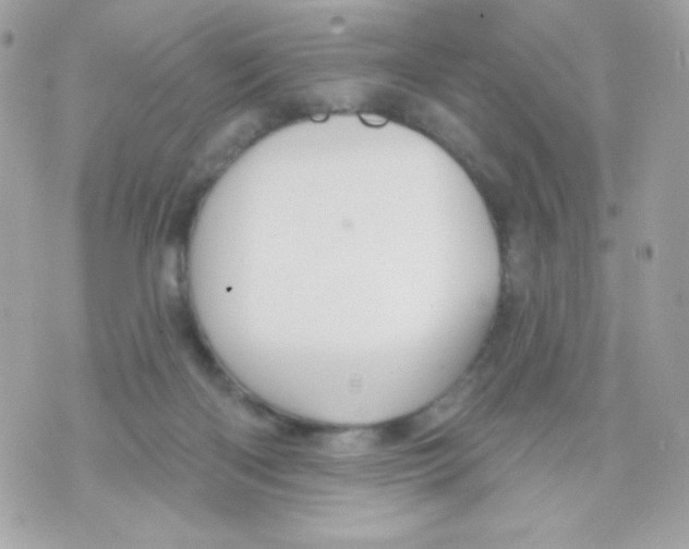 X0000070340122200607072023