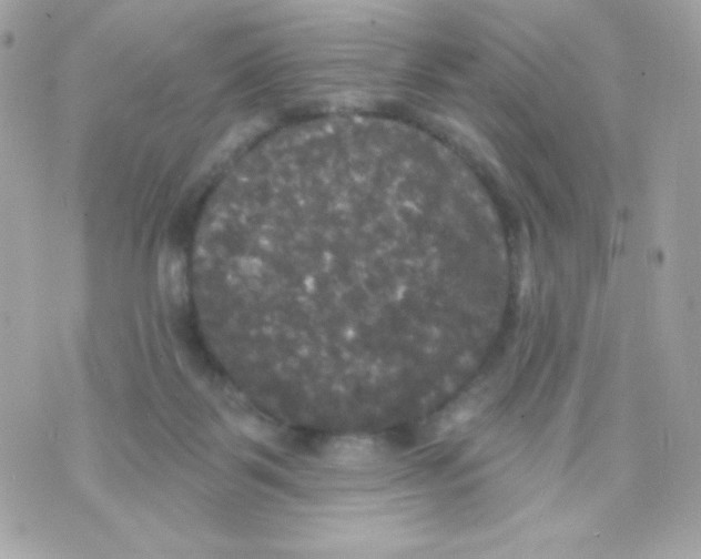 X0000070340123200607072022