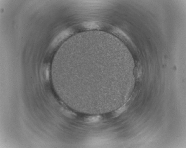 X0000070340124200607072022