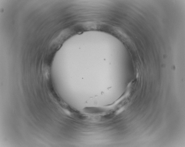 X0000070340125200607072022