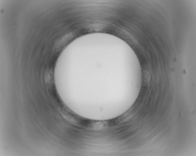 X0000070340126200607072022