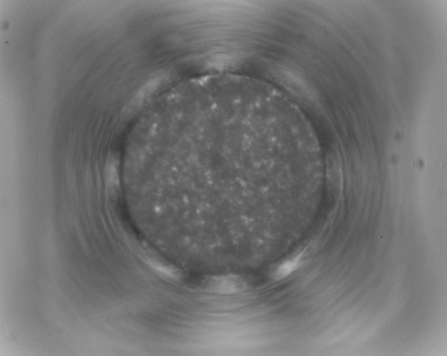 X0000070340127200607072022