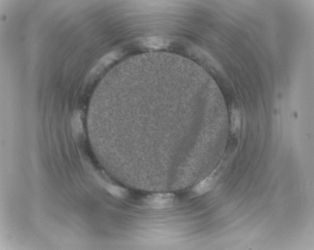 X0000070340128200607072022