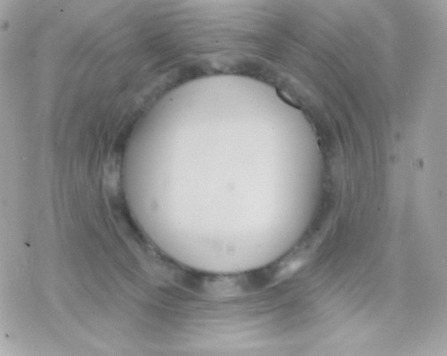 X0000070340129200607072022