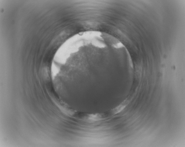 X0000070340130200607072022