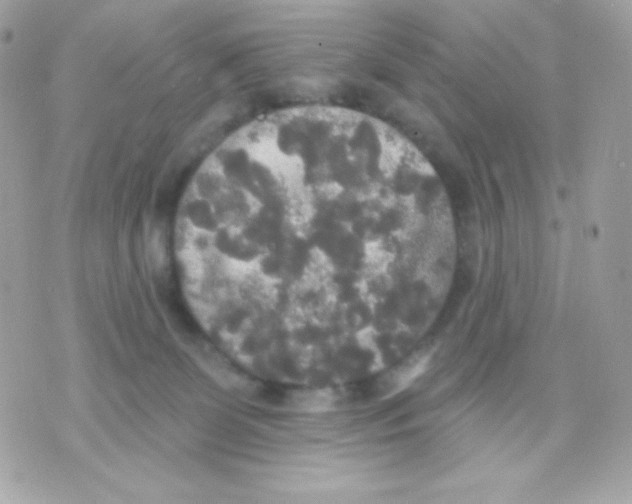 X0000070340131200607072022