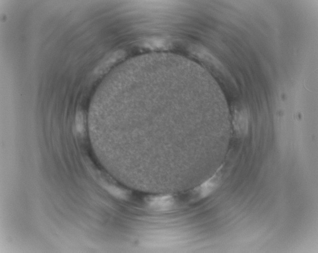 X0000070340132200607072022