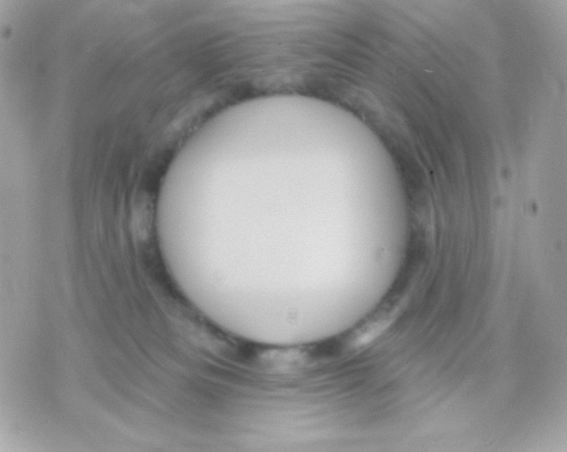 X0000070340133200607072022