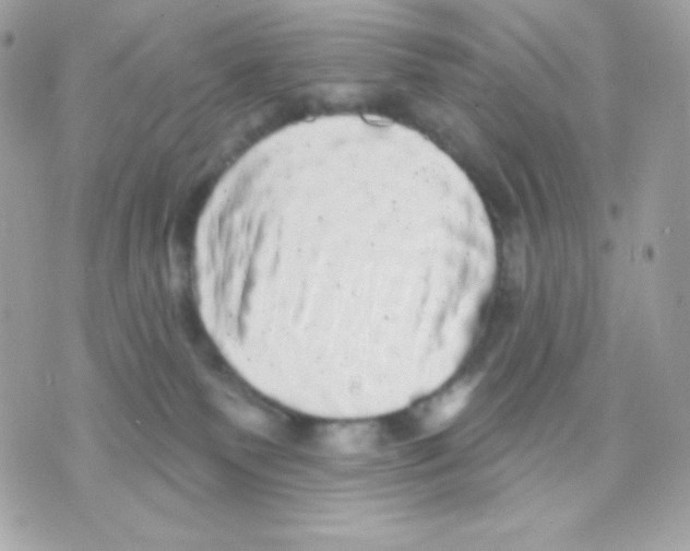 X0000070340135200607072022