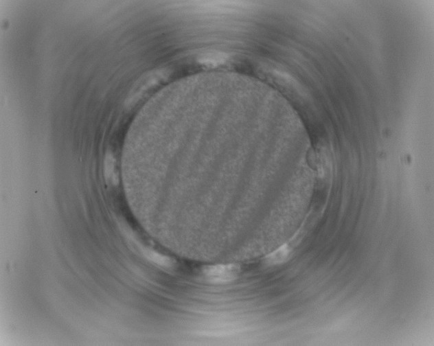 X0000070340136200607072022