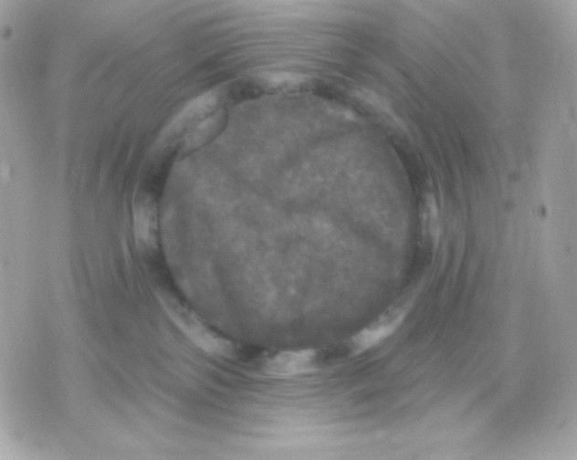 X0000070340138200607072022