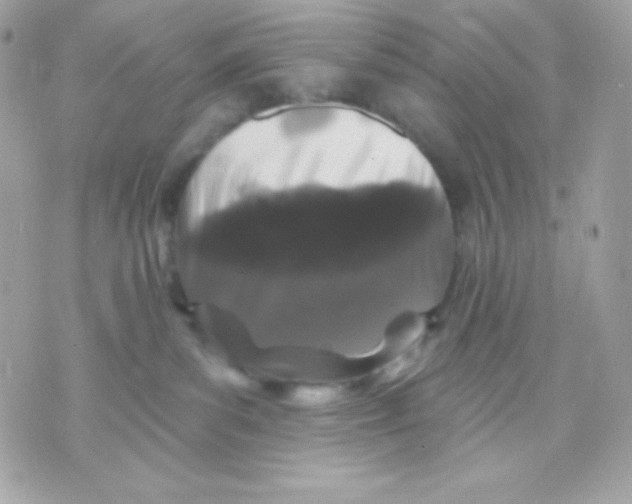 X0000070340139200607072022