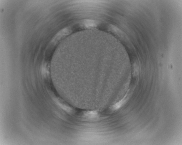 X0000070340140200607072022