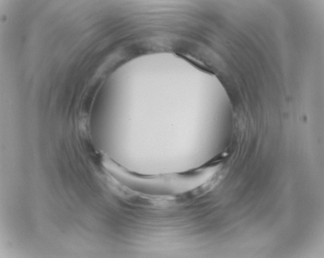 X0000070340141200607072022