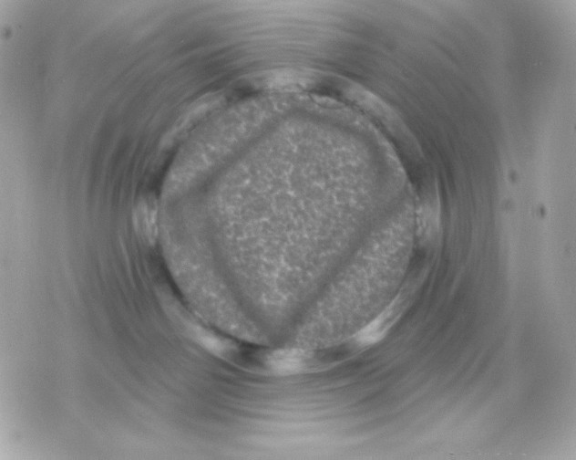 X0000070340142200607072022