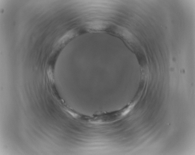 X0000070340143200607072022