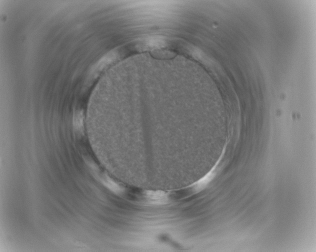 X0000070340144200607072022