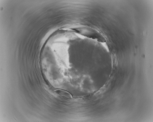 X0000070340147200607072021