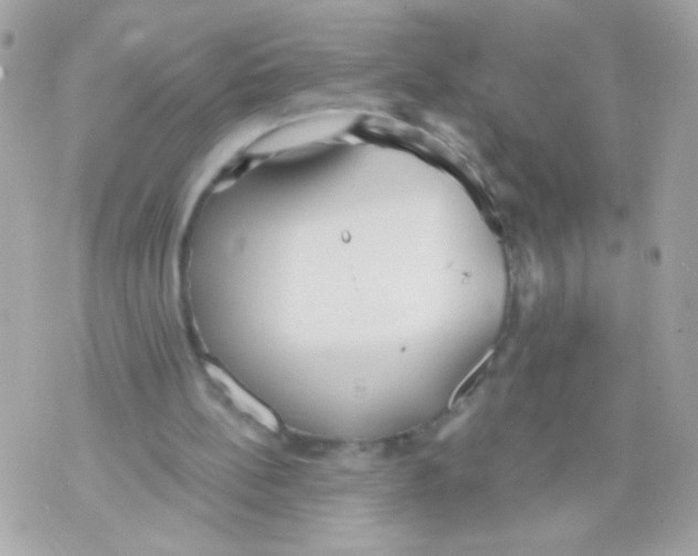 X0000070340148200607072021