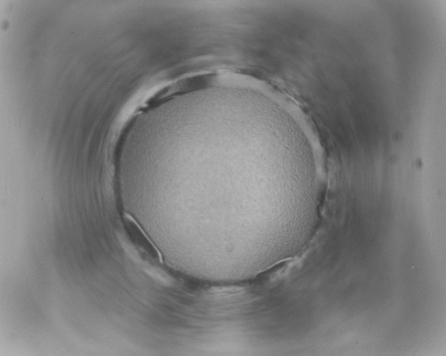 X0000070340150200607072021