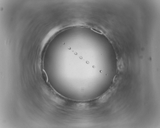 X0000070340152200607072021