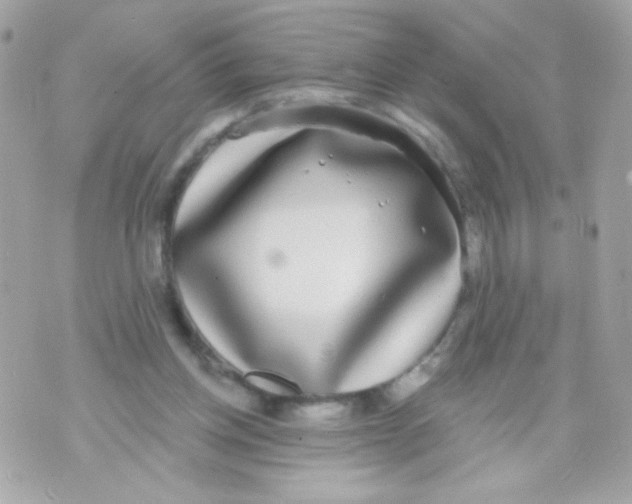 X0000070340158200607072022