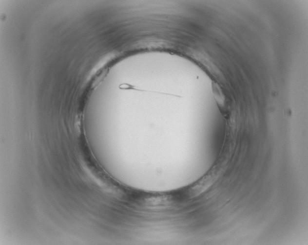 X0000070340160200607072022