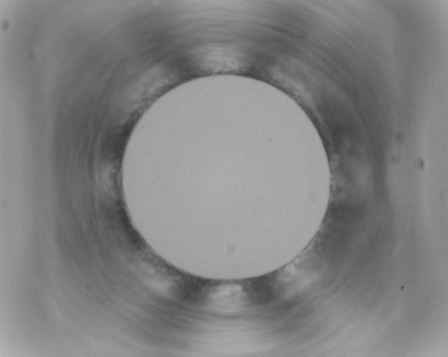 X0000070340162200607072022