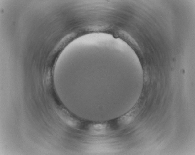 X0000070340163200607072022