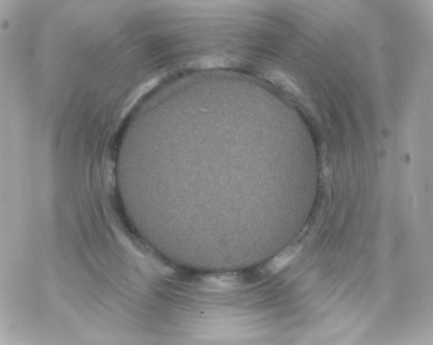 X0000070340164200607072022