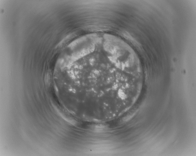 X0000070340165200607072022