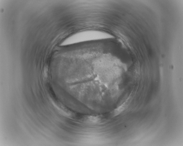 X0000070340166200607072022