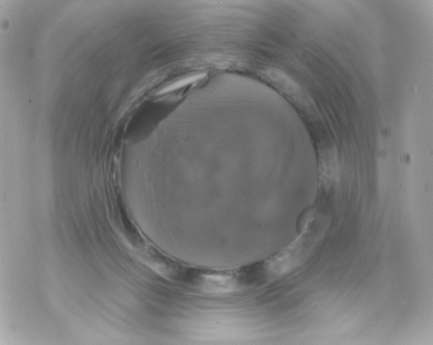 X0000070340167200607072022