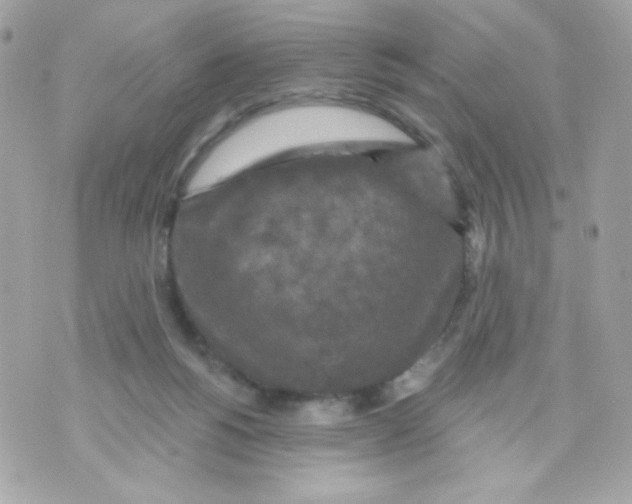 X0000070340168200607072022