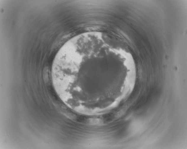 X0000070340169200607072022