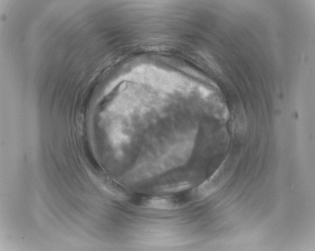 X0000070340171200607072022