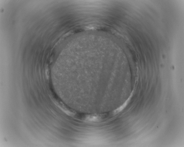 X0000070340174200607072022