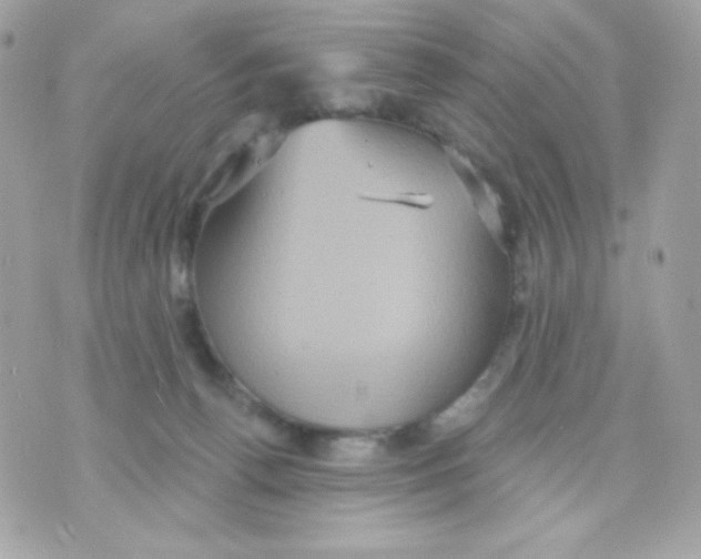 X0000070340176200607072022