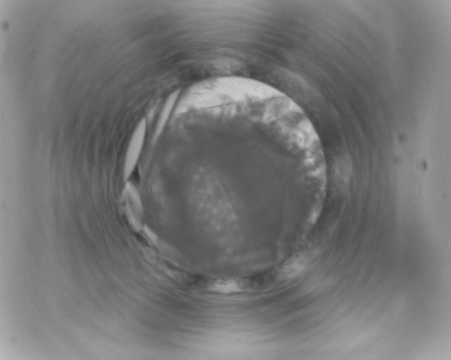 X0000070340177200607072022