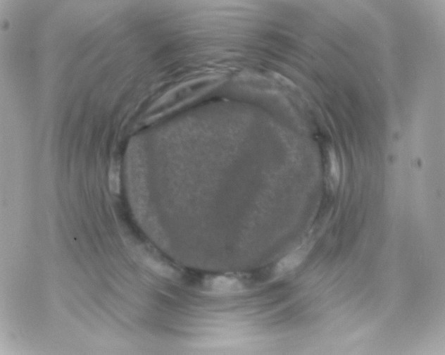 X0000070340180200607072022