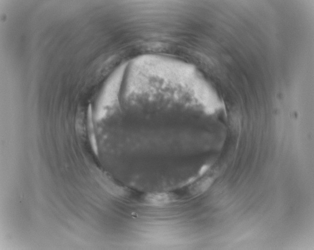 X0000070340181200607072022