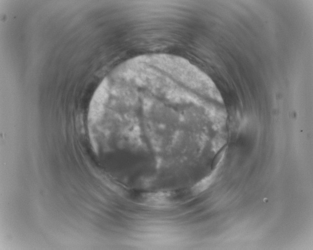 X0000070340182200607072022