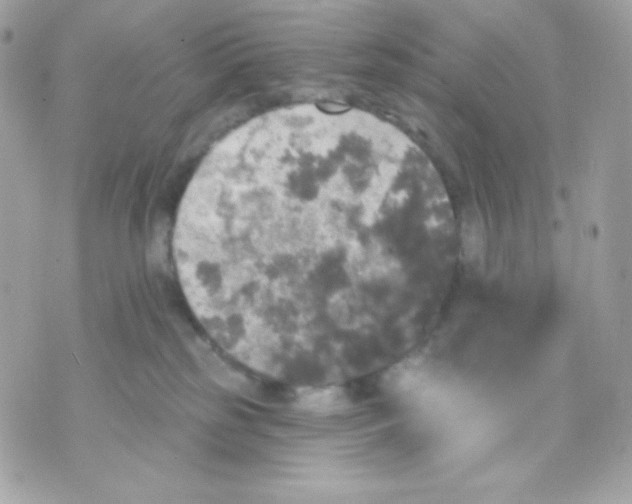 X0000070340185200607072022